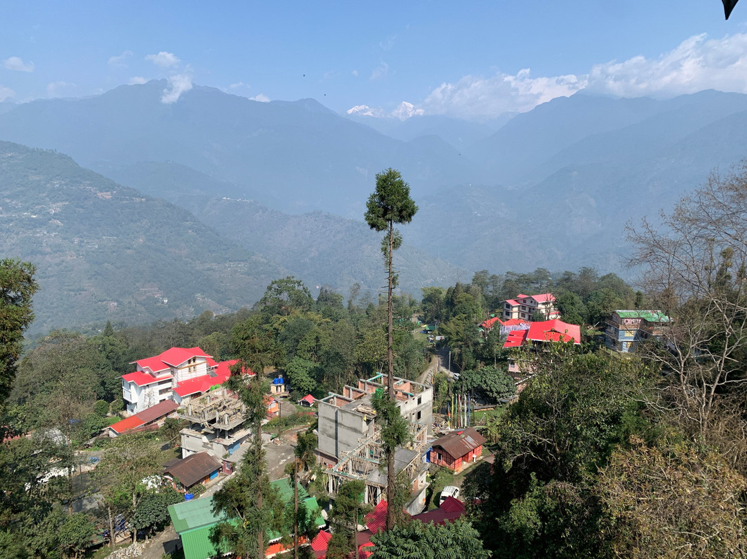 Udaan Olive Hotel & Spa主图