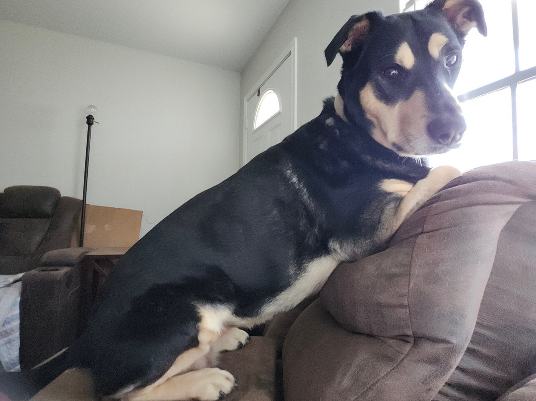 Hilton Garden Inn Corpus Christi主图