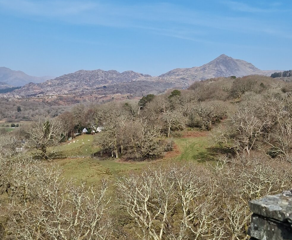 Plas Brondanw Gardens景点图片
