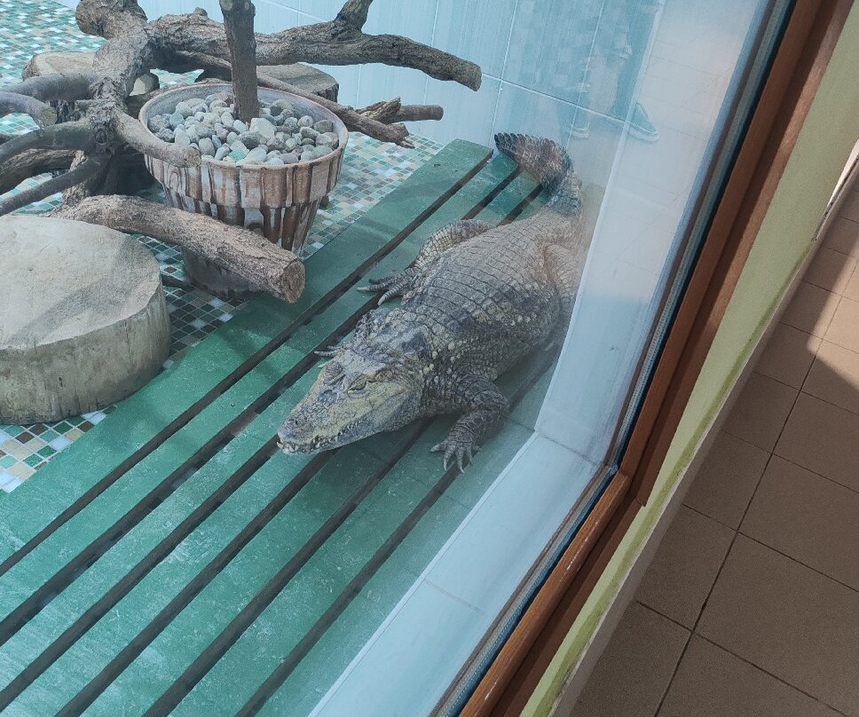 Grodno Zoo-格罗德诺必去景点