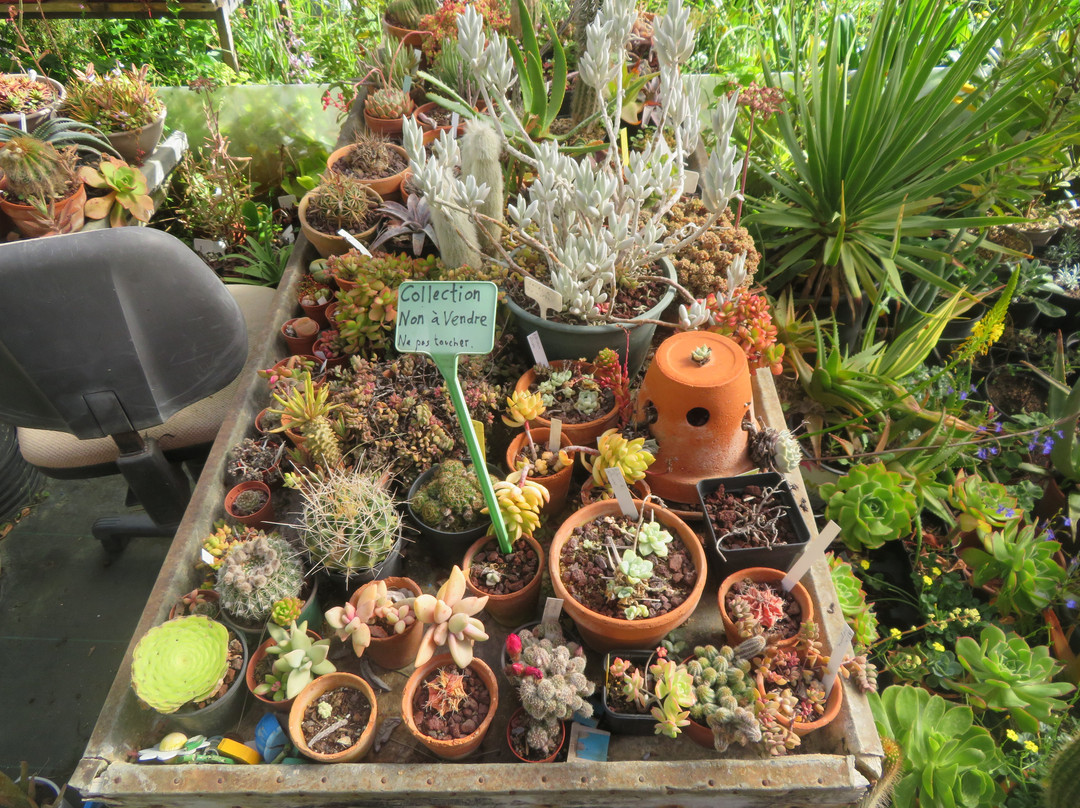 Jardin La Laurisylve景点图片