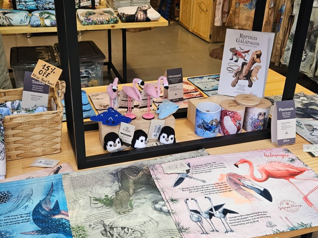 593 Origins - Baltra-Baltra必去景点