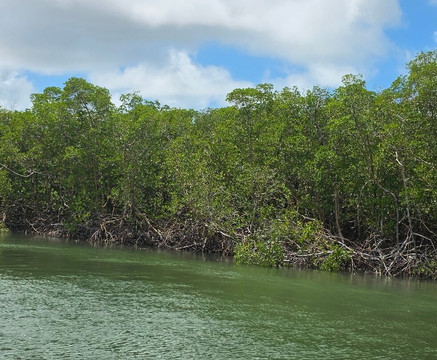 Catamarã Croa do Goré-阿拉卡茹必去景点