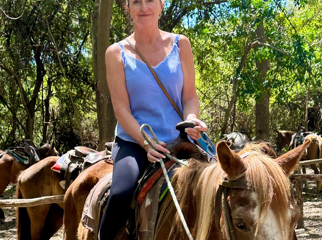 Horseback Riding Tours-特立尼达必去景点