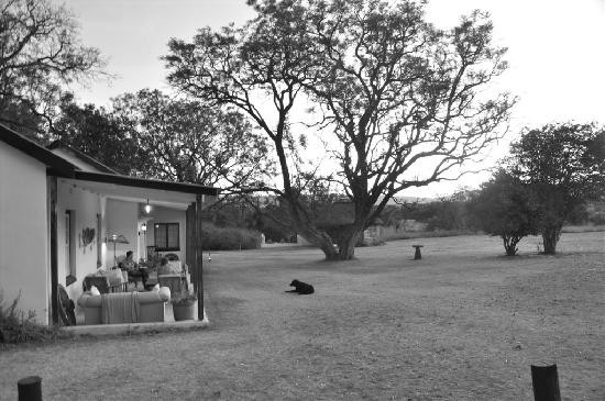 Halkett Country House主图