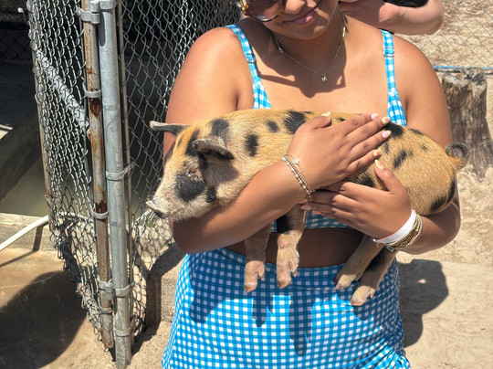 Creative Eco Adventures-弗里波特必去景点