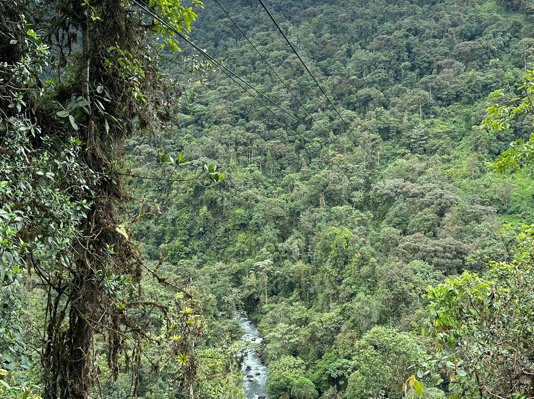 Las Montañas En Mindo-明多必去景点