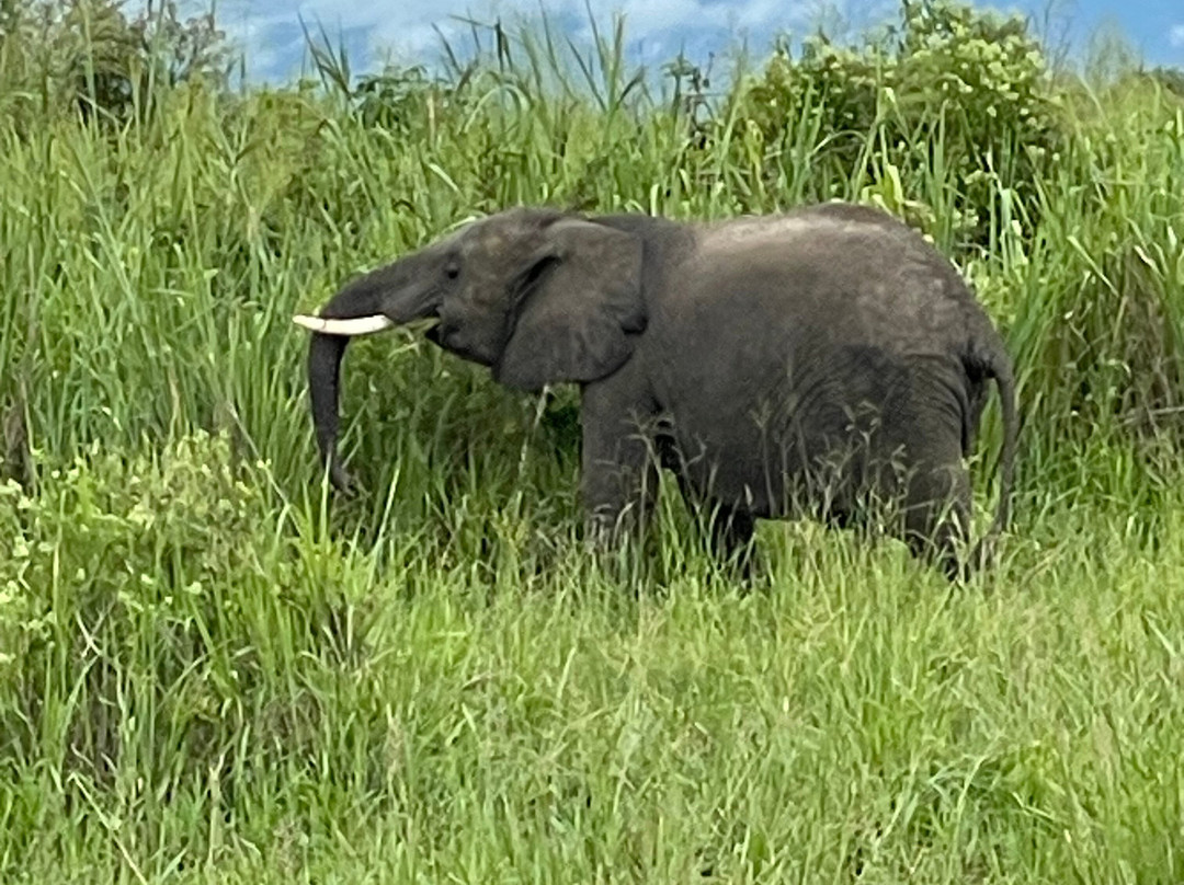 WE CAB TOURS & SAFARIS-桑给巴尔市必去景点