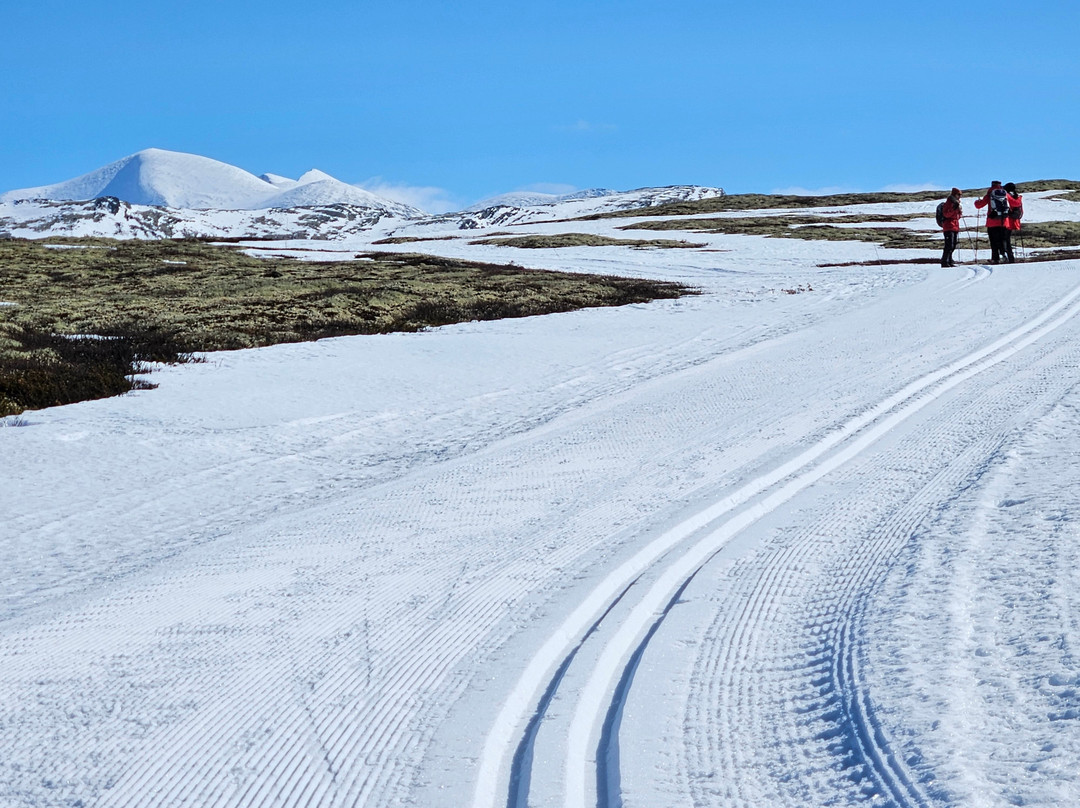 Laurgardseter Fjellstue