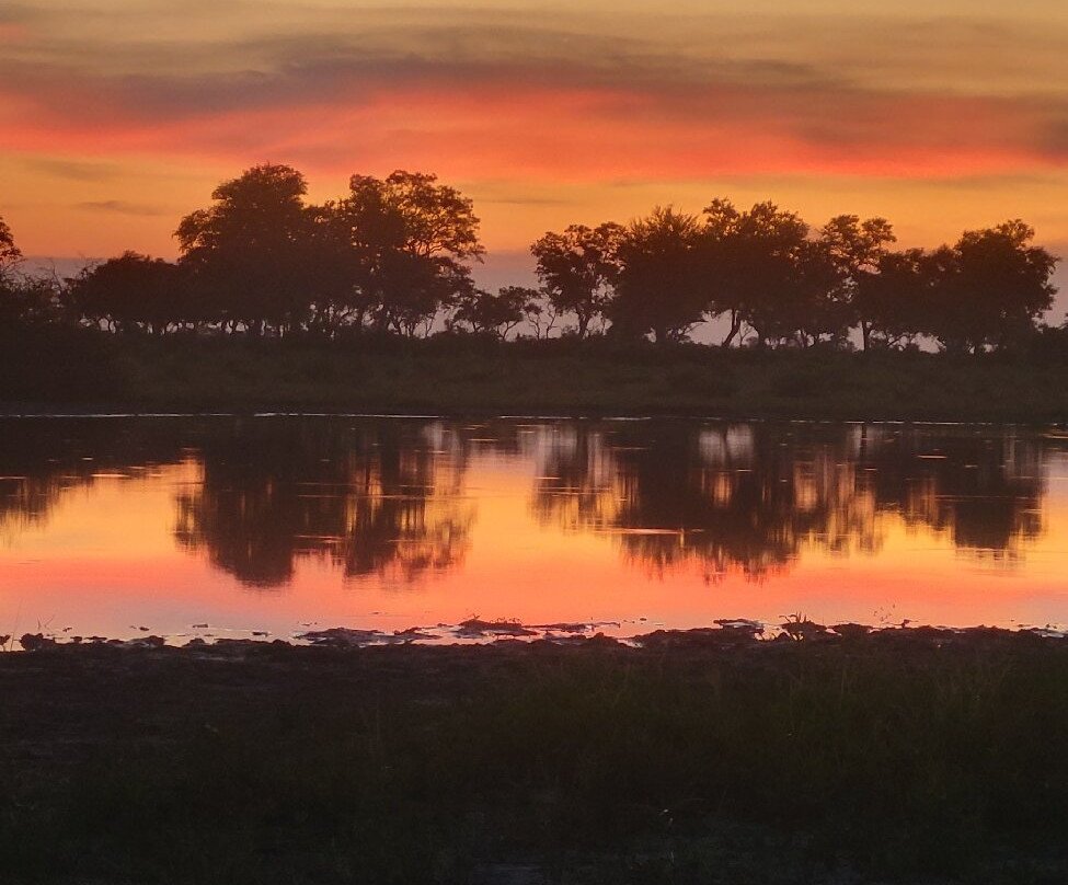 The African Wild景点图片