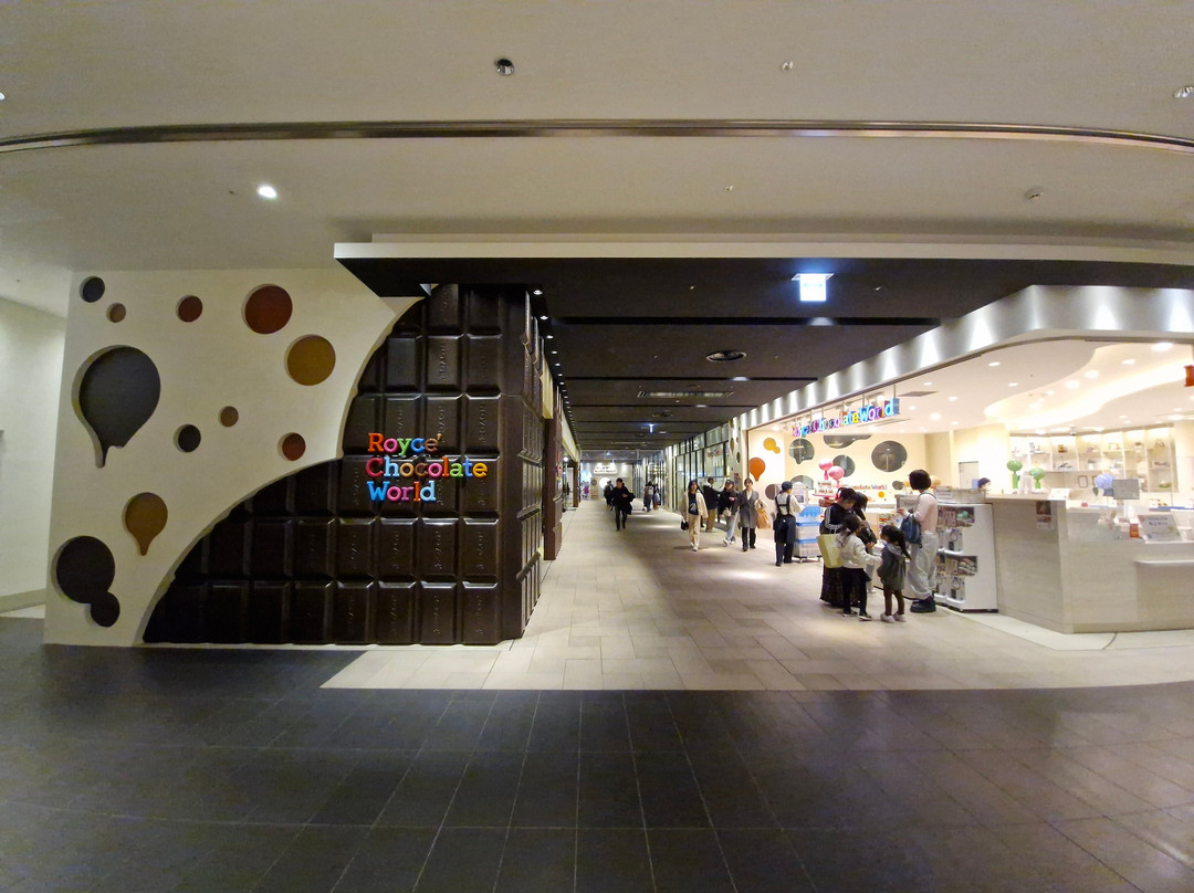 New Chitose Airport Terminal-千岁市必去景点