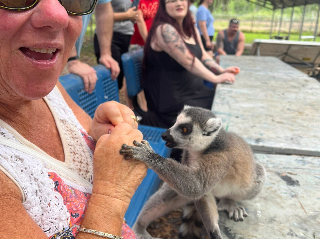 Chase Animal Rescue And Sanctuary-Webster必去景点