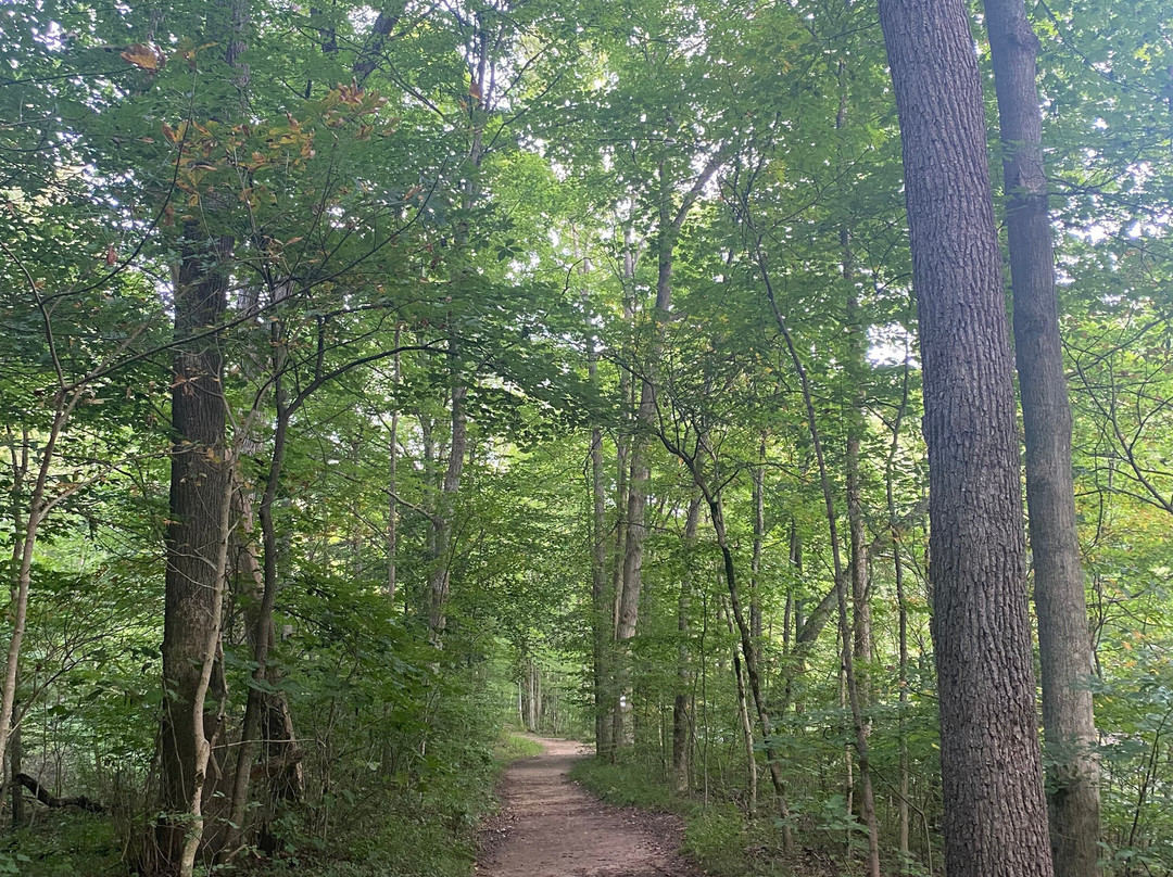 Mohican State Park景点图片