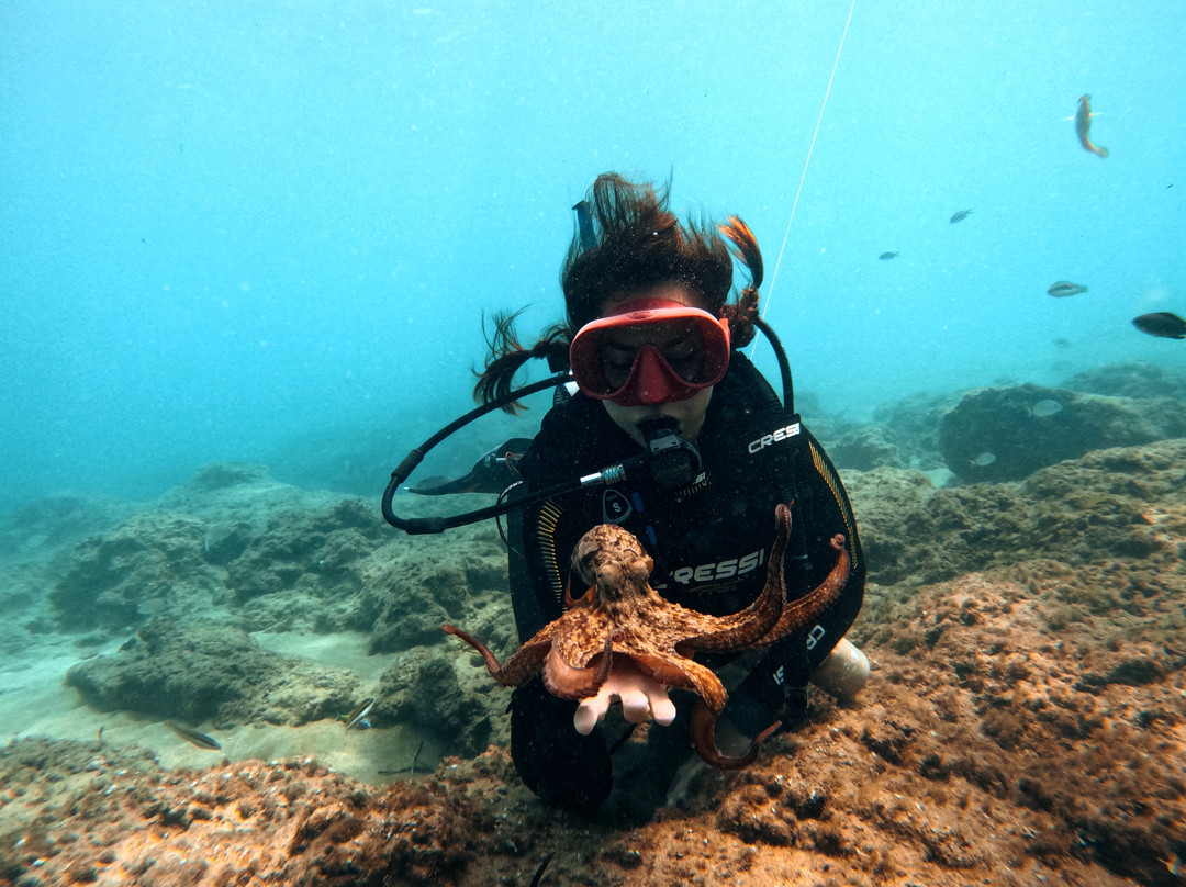Discovery diving center-赫索尼索斯必去景点
