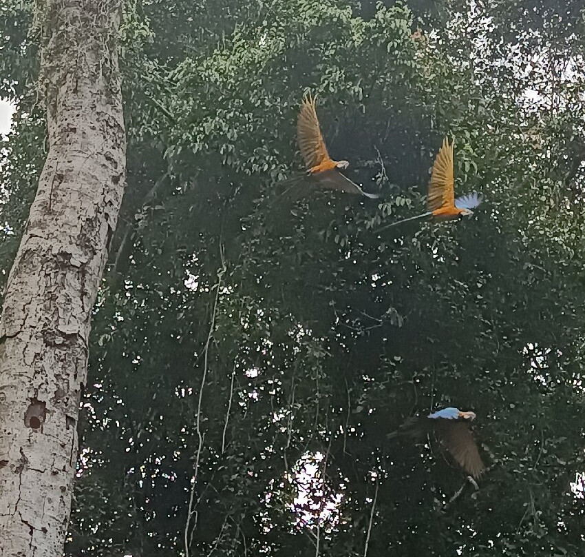 Wonder Amazon景点图片