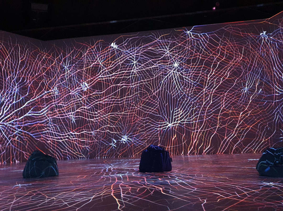 Center Of Digital Experience景点图片