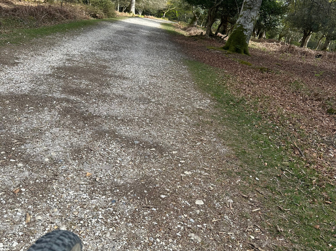 The Woods Cyclery景点图片