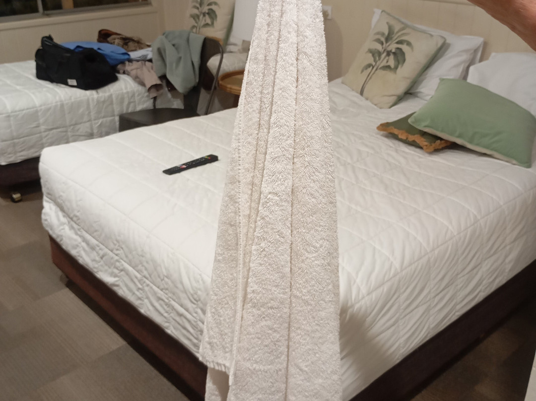 Warwick Motor Inn主图