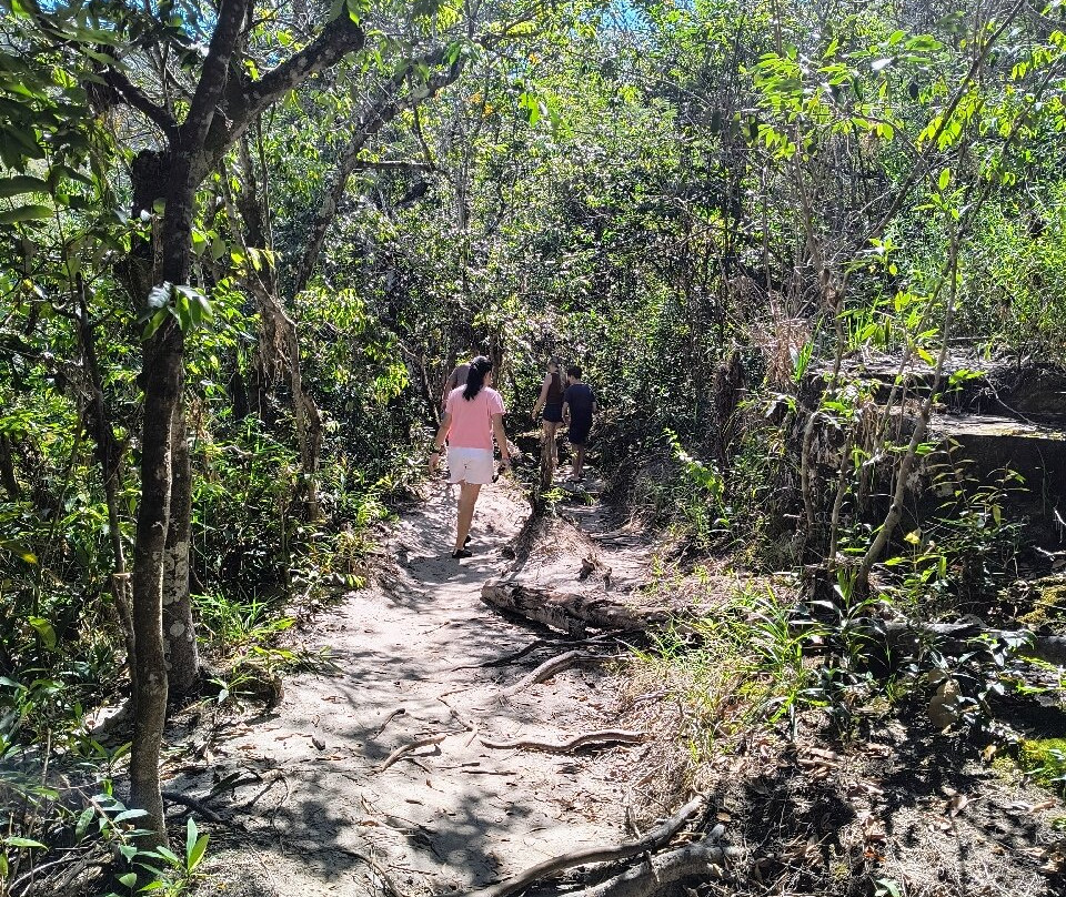 Cachoeira da Capivara景点图片