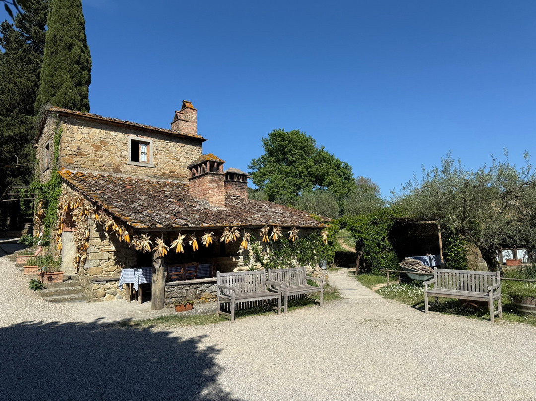 Fattoria La Vialla景点图片