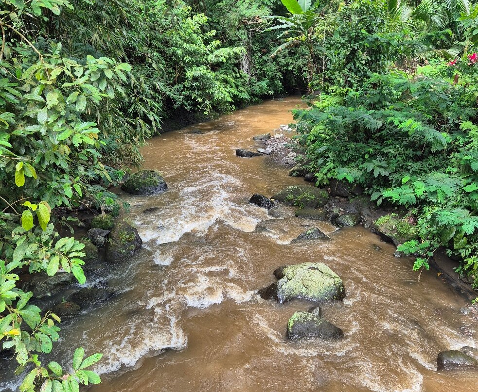 Leke Leke Waterfall景点图片