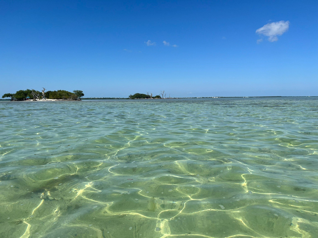 Xotic Island Charters-Cudjoe Key必去景点