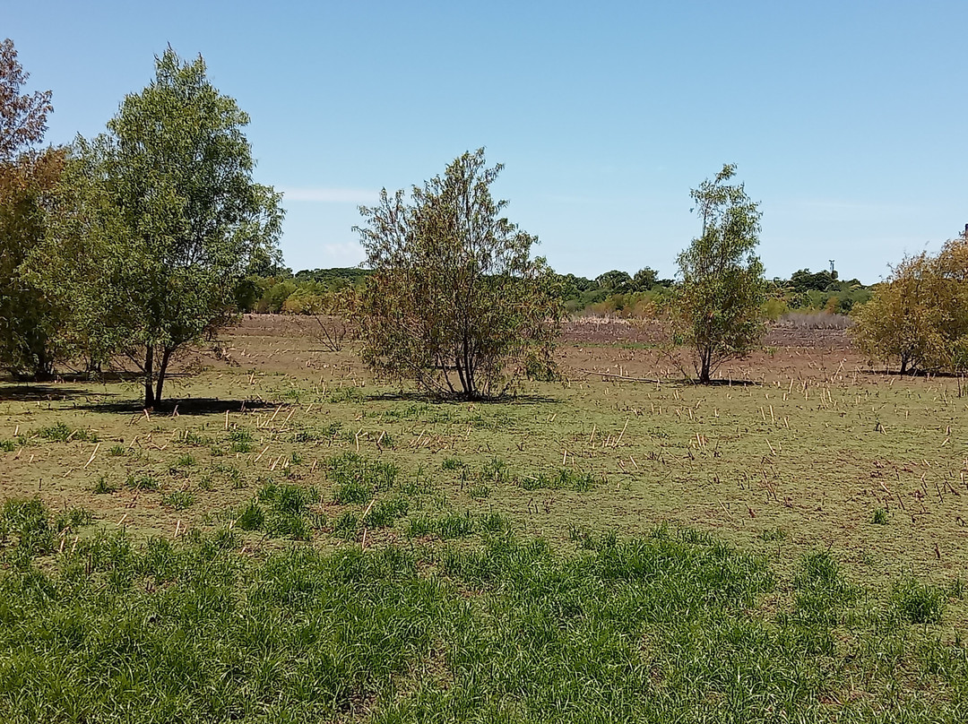 Reserva Ecológica Costanera Sur-布宜诺斯艾利斯必去景点
