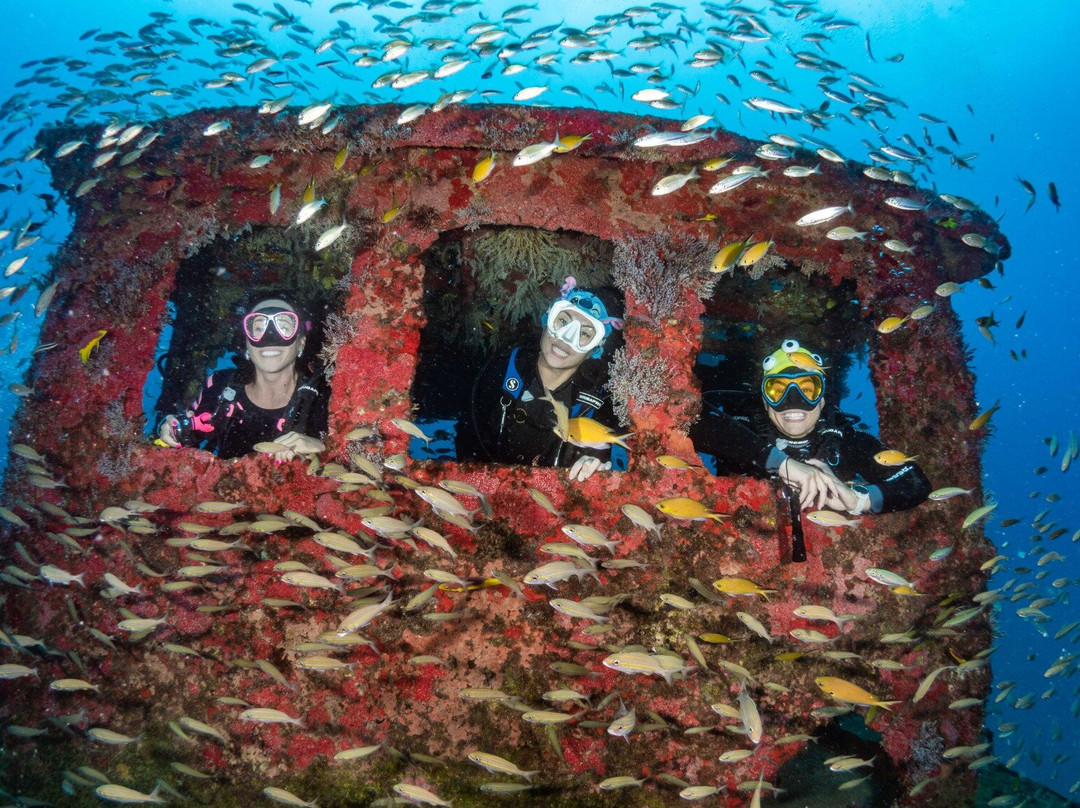 Aicádiving - Centro De Mergulho - Recife-累西腓必去景点