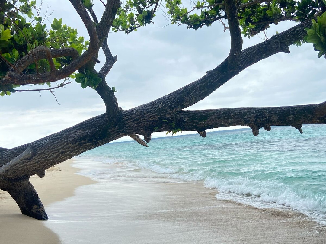 CAMETUR-大卫市必去景点