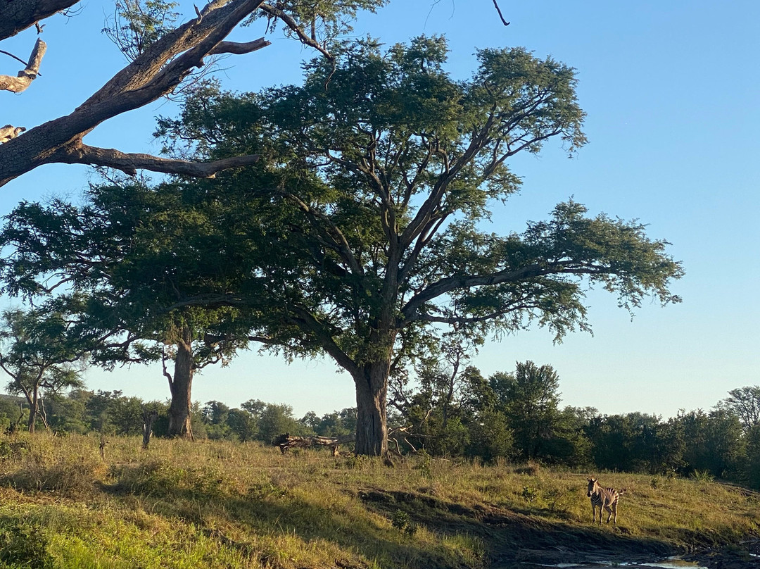 Victoria Falls Private Game Reserve-维多利亚瀑布必去景点