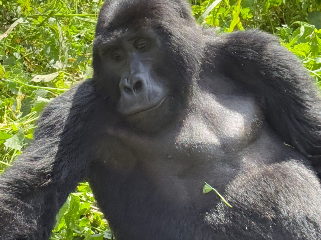 Great Adventures Uganda-坎帕拉必去景点