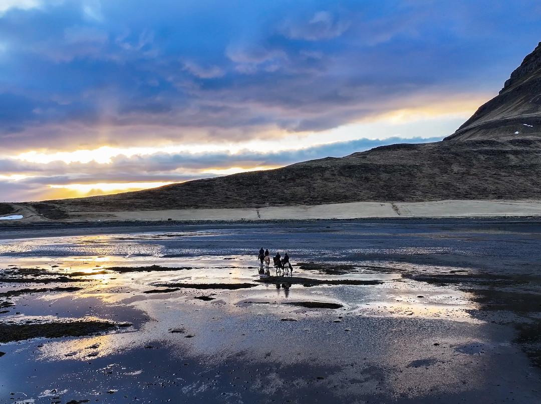 Kirkjufell Horse Center-格伦达菲厄泽必去景点