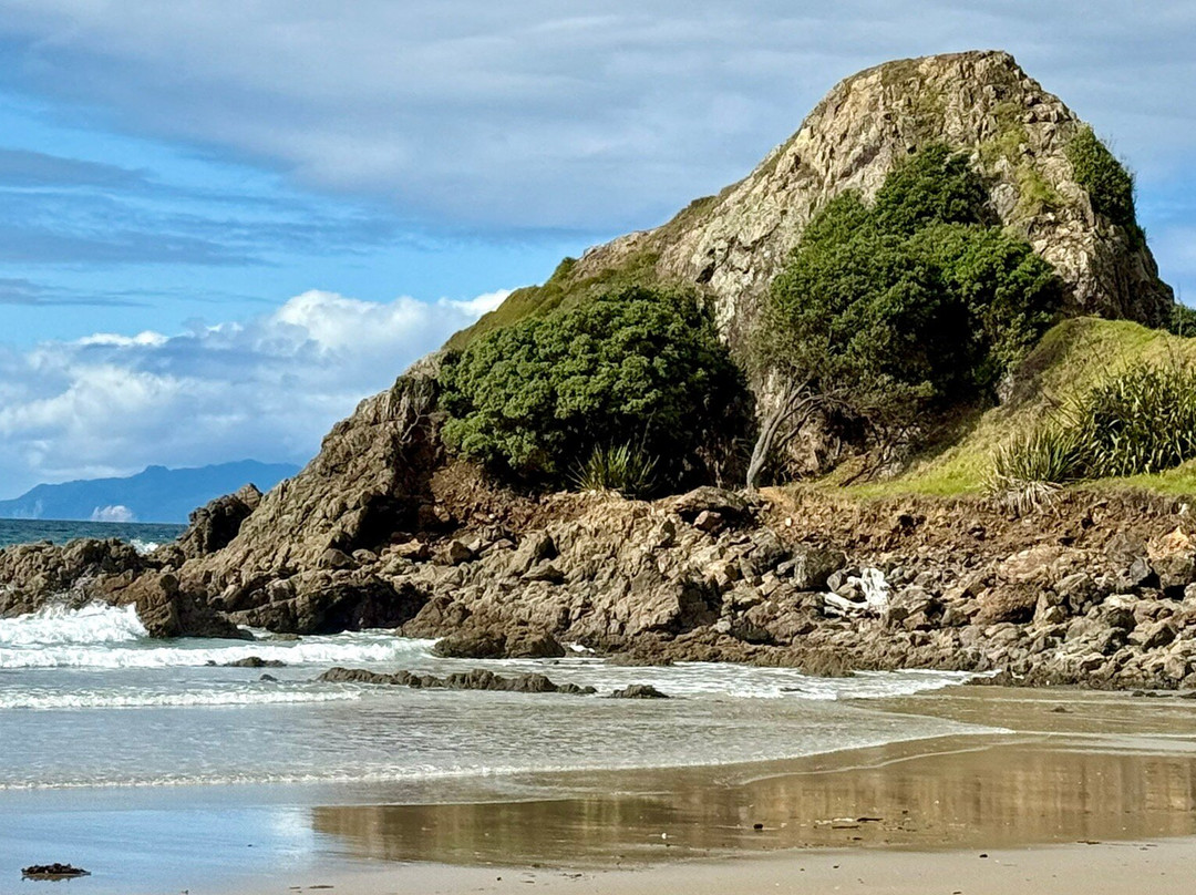 Mangawhai Heads Surf School-Mangawhai必去景点