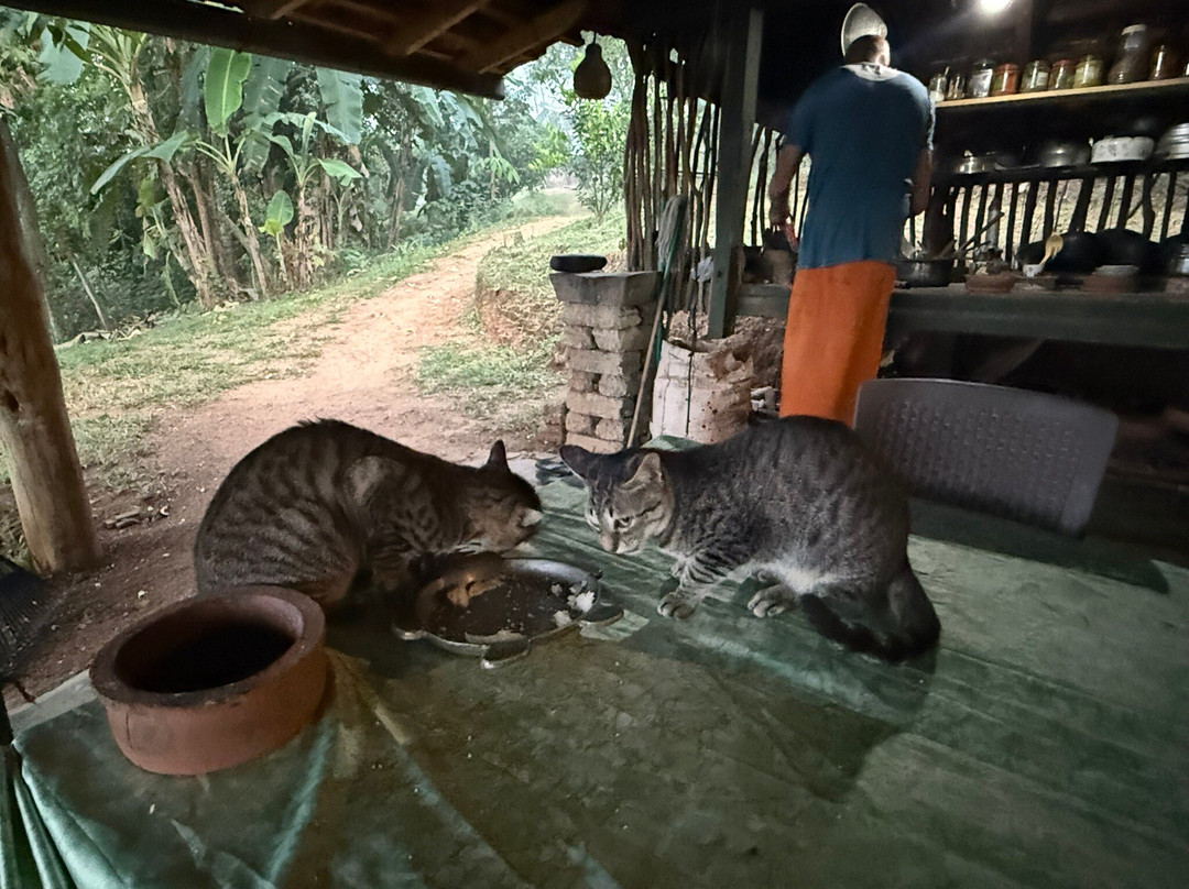 Ashram Sri Lanka-唐卡拉必去景点