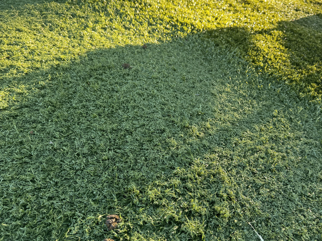 Aviana Resort Orlando主图