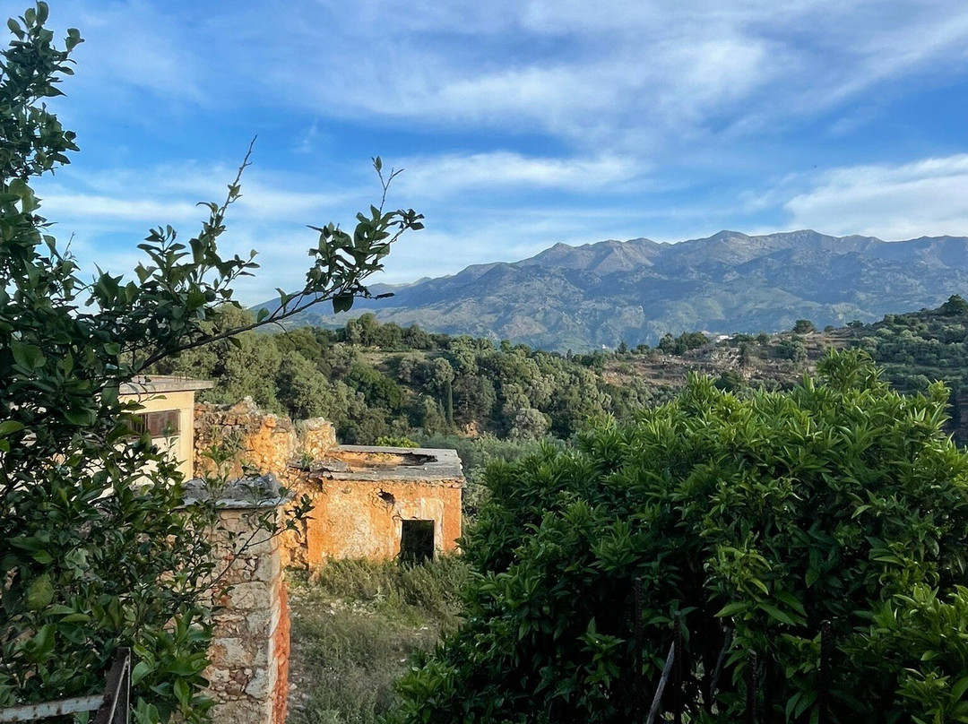 Athina Beach Hotel主图