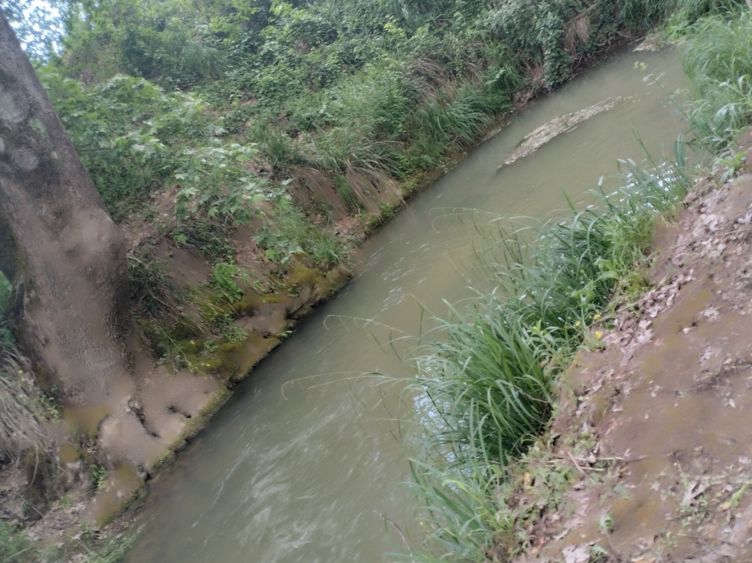 Estate Constantin Gofas-Nemea必去景点