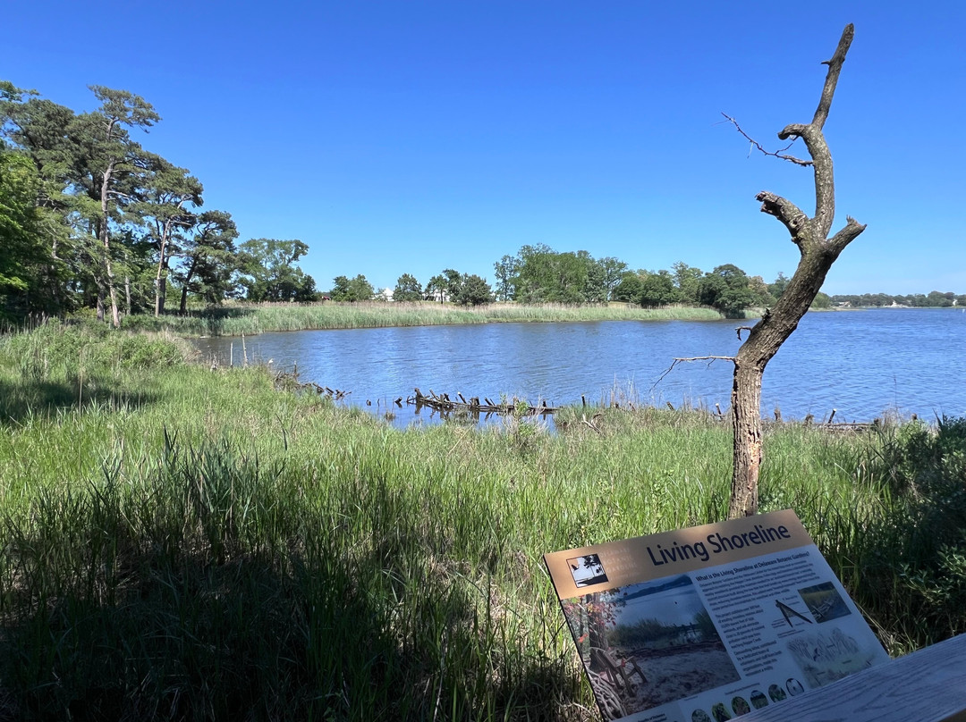 Delaware Botanic Gardens-Dagsboro必去景点