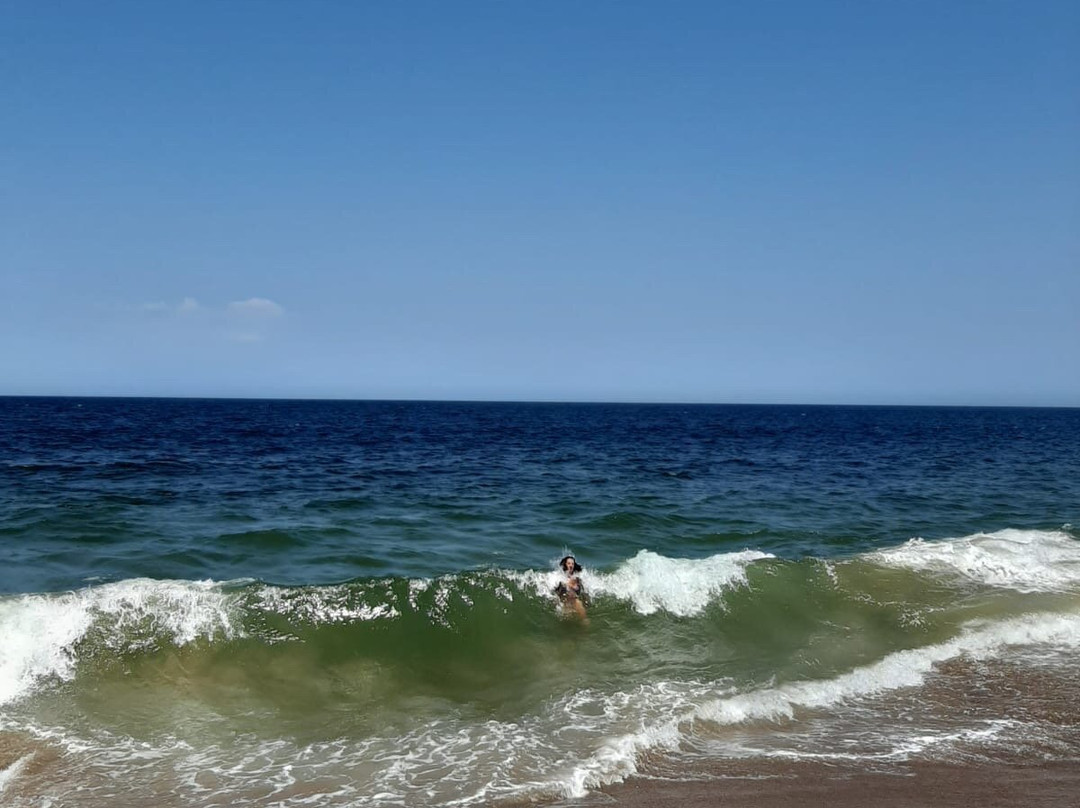 Playa Punta Ballena-Punta Ballena必去景点