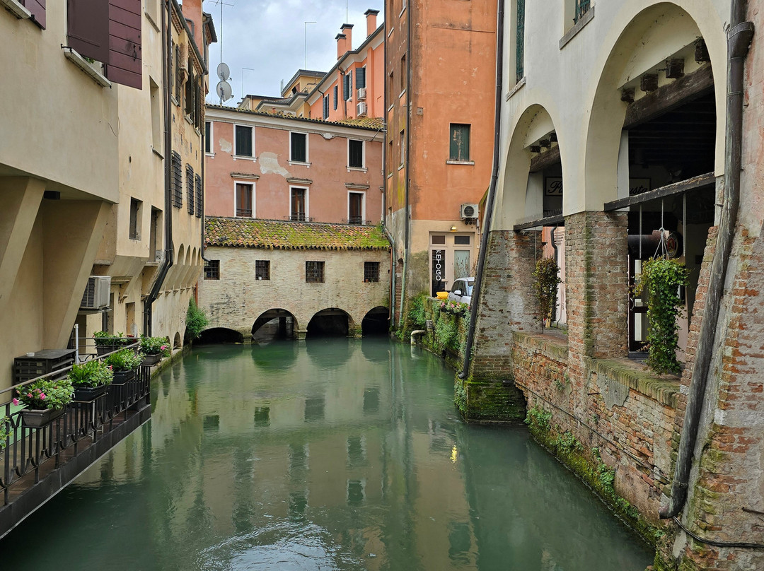 Via Buranelli-特雷维索必去景点