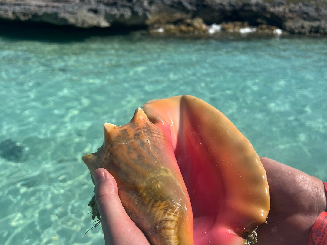 Island Adventure TCI-普罗维登西亚莱斯必去景点