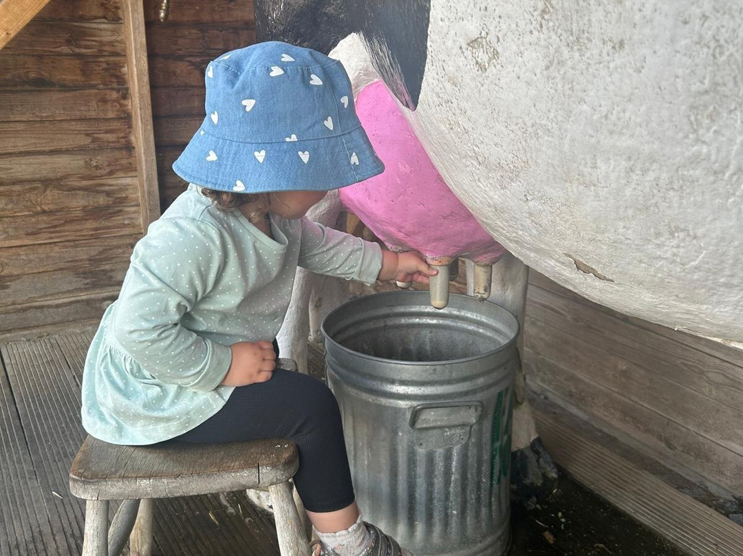 Old MacDonald's Farm景点图片