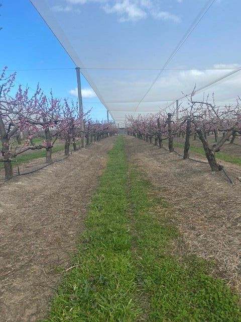 Appleshack at Glenbernie Orchard-Darkes Forest必去景点