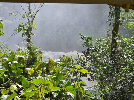 ATV Monkey Ride-主日镇必去景点