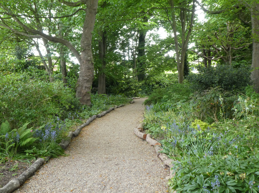 Walmer Castle and Gardens景点图片