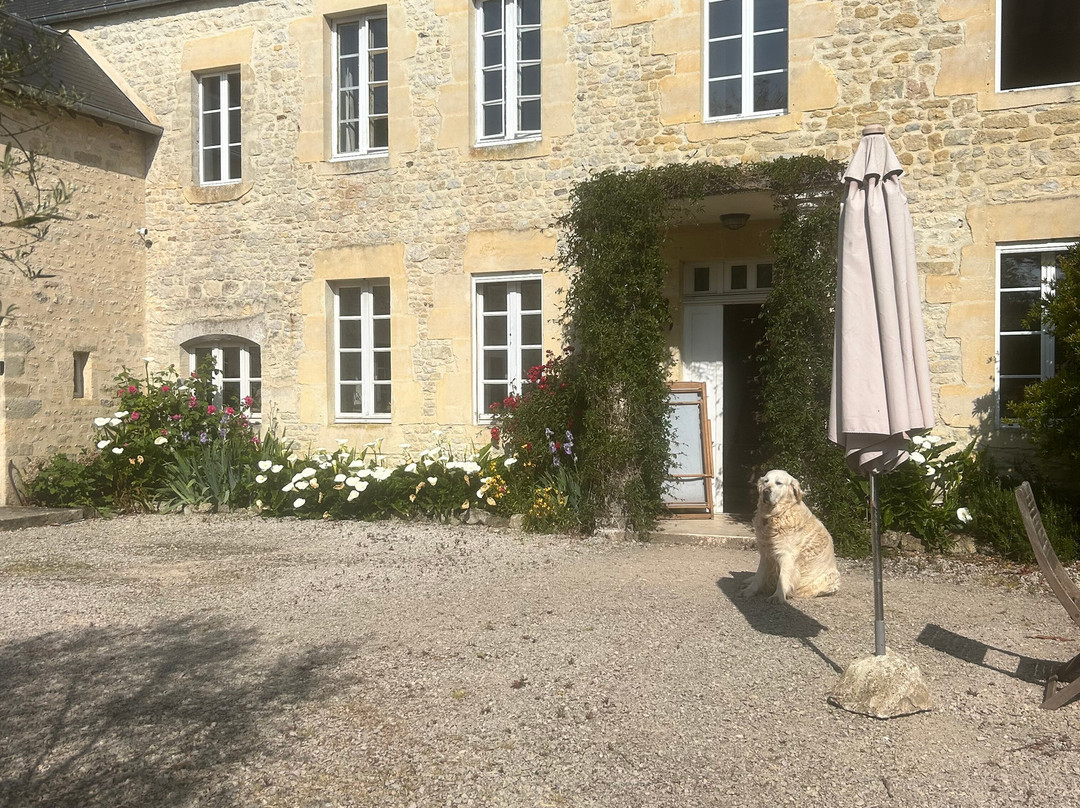 La Cour Souveraine主图
