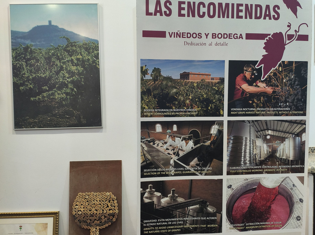 Bodega Pago de Las Encomiendas景点图片