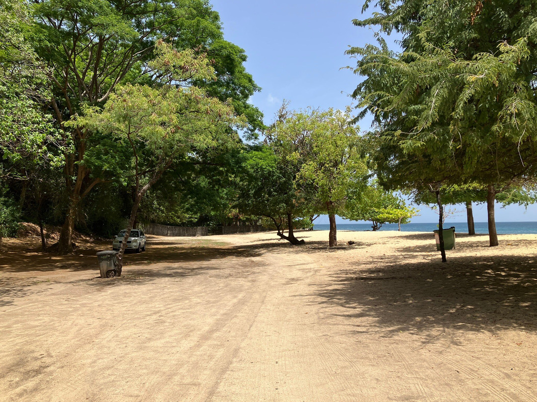 Magazine Beach景点图片