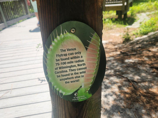 Stanley Rehder Carnivorous Plant Garden-威尔明顿必去景点