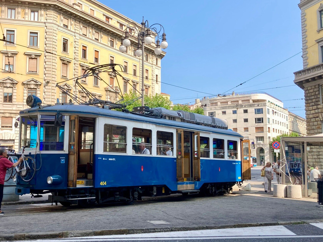 Tram de Opcina景点图片